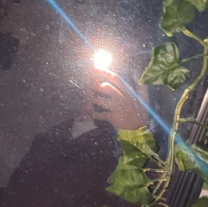 Meet your Posher, Jackson